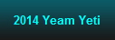 2014 Yeam Yeti