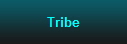 Tribe