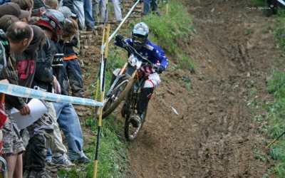 chanpery2010gwin4ws