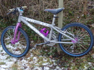 ftw20inch1ws