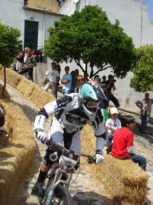 ldt088ws
