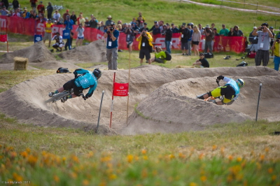 seaotter20113