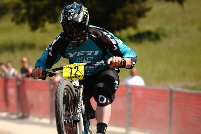 seaotter20115