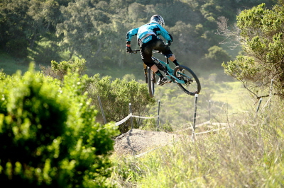 seaotter20116