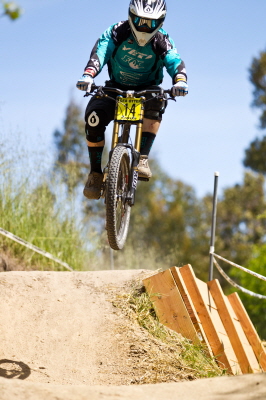 seaotter20117