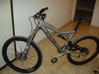 ofer5751